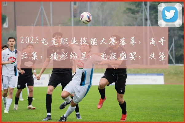 2025电竞职业技能大赛落幕，高手云集，精彩纷呈，竞技盛宴，共鉴辉煌，荣耀时刻