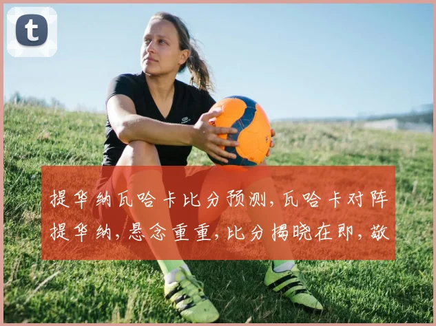 提华纳瓦哈卡比分预测,瓦哈卡对阵提华纳,悬念重重,比分揭晓在即,敬请期待