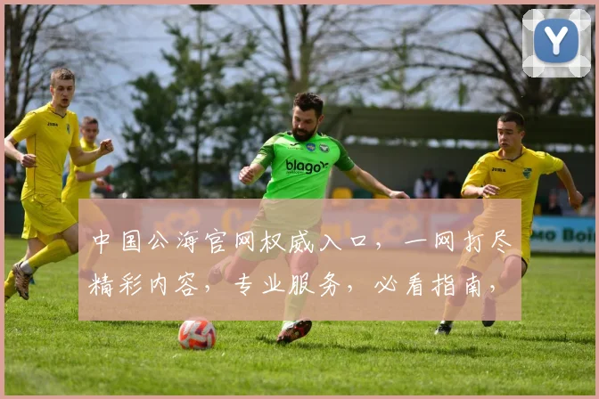 中国公海官网权威入口，一网打尽精彩内容，专业服务，必看指南，轻松访问三步走