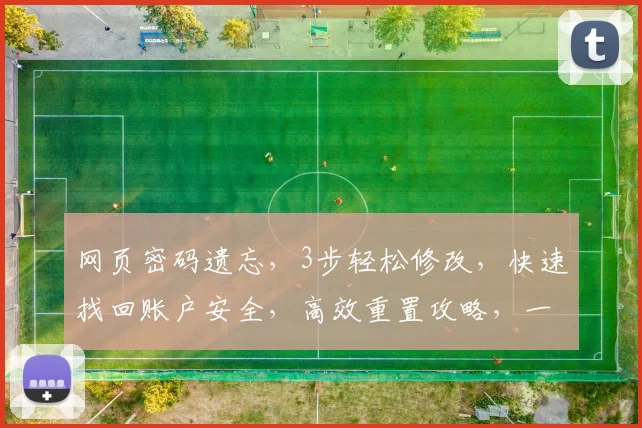 网页密码遗忘，3步轻松修改，快速找回账户安全，高效重置攻略，一网打尽